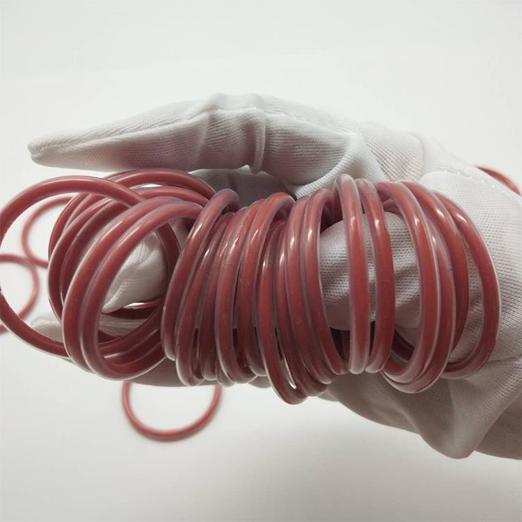 Encapsulated viton o ring.jpg